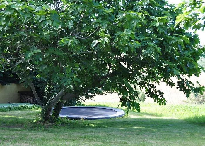 Belvilla By Oyo Lavanda Apartment Belvedere Ostrense