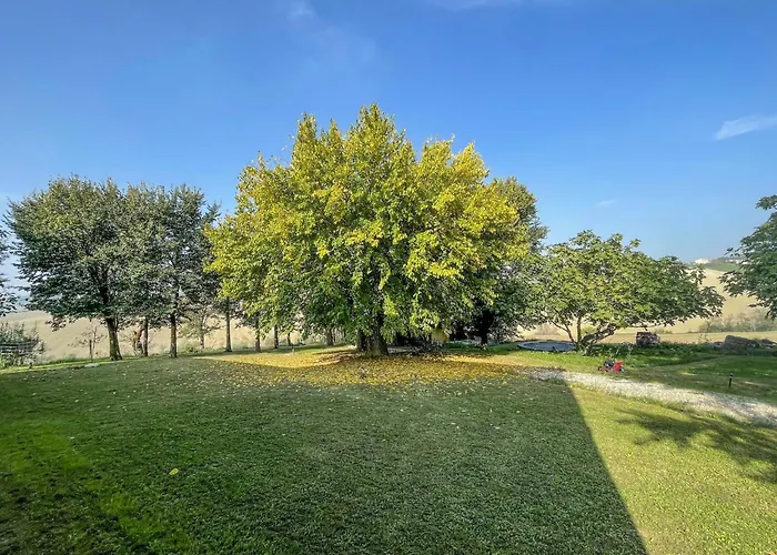 Apartment Belvilla By Oyo Lavanda Belvedere Ostrense